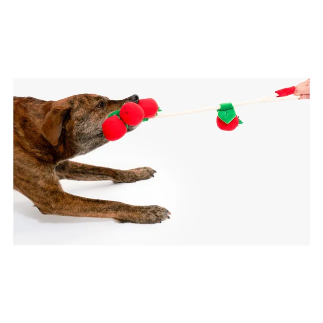 Cherry Tomato digging toy | Tomato red