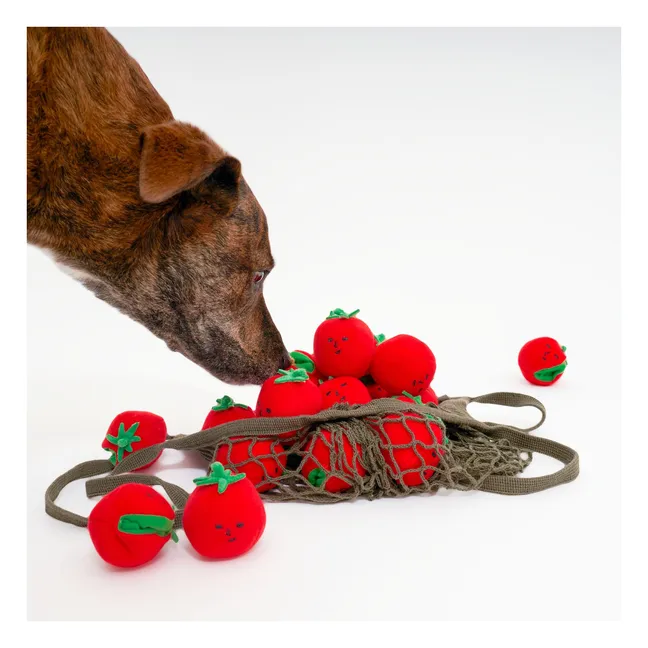 Cherry Tomato digging toy | Tomato red