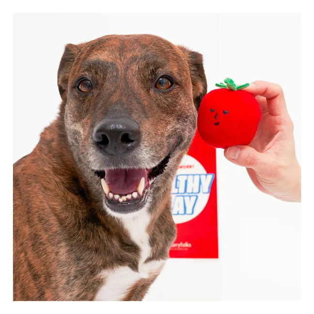 Cherry Tomato digging toy | Tomato red