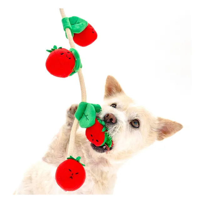 Jouet de fouille Cherry Tomato | Rouge tomate
