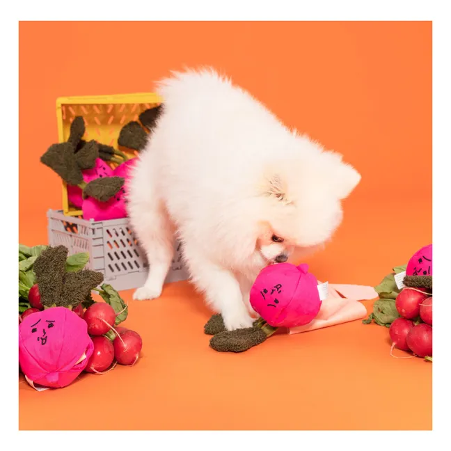 Jouet de fouille Radish | Rose