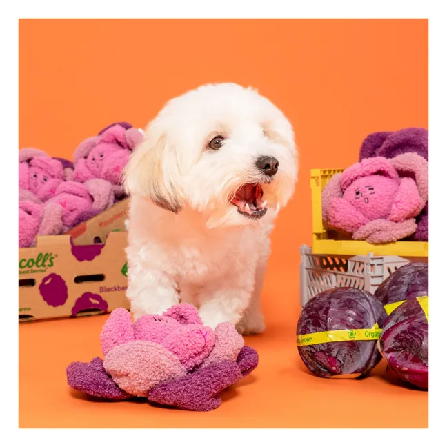 Ausgrabungsspielzeug Red Cabbage | Rosa