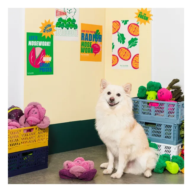 Cavolo rosso giocattolo da scavare | Rosa