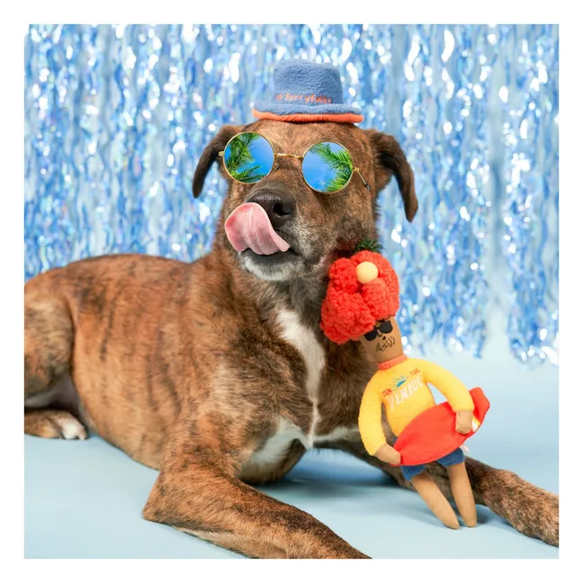 Hooman Surfer digging toy | Orange