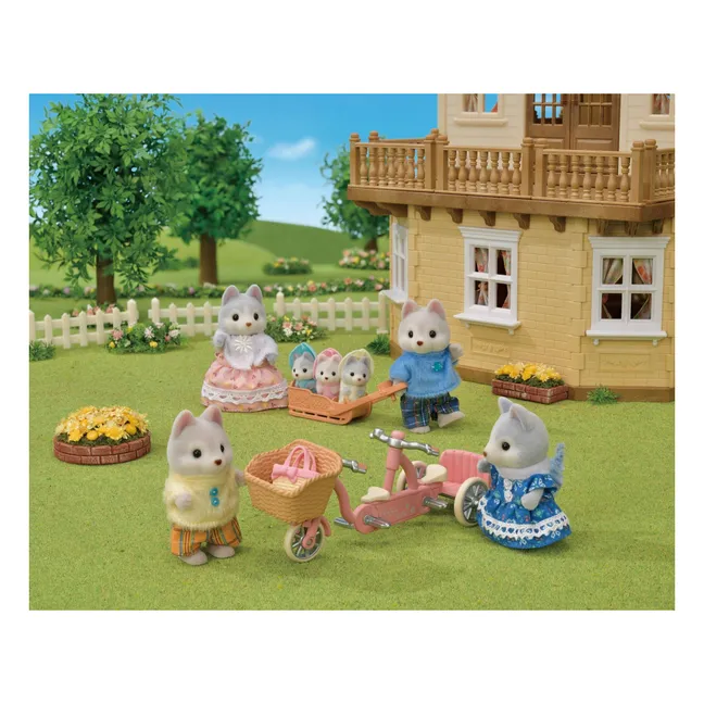 Les frères et sœurs husky et leur tandem