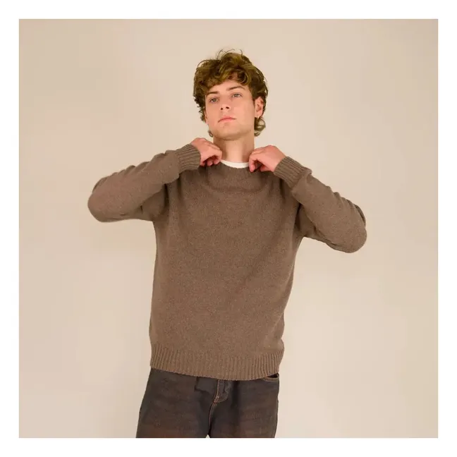 Pull Col Roulé Seamless Laine | Marron