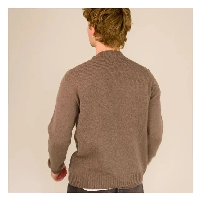 Pull Col Roulé Seamless Laine | Marron