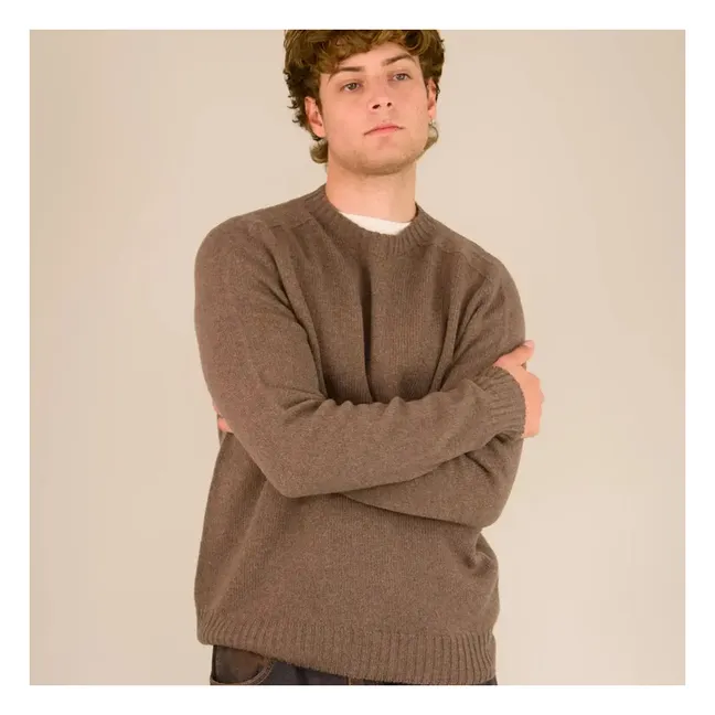 Pull Col Roulé Seamless Laine | Marron