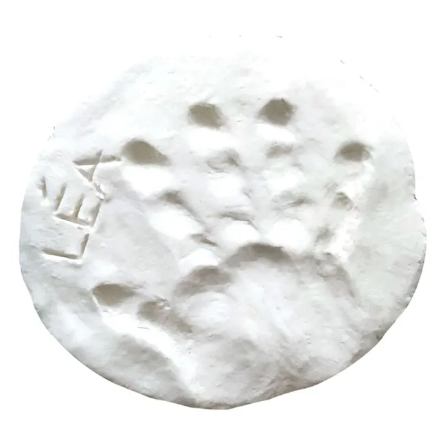 Mes Empreintes self-hardening modeling clay