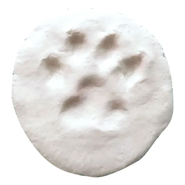 Mes Empreintes self-hardening modeling clay