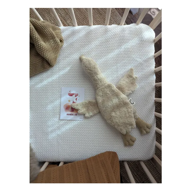 Peluche de ganso | Beige