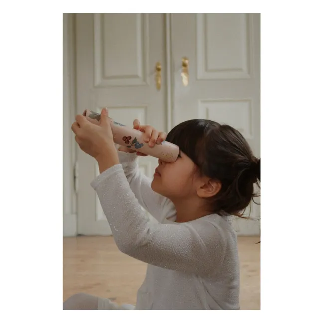 Kaleidoscope Cremona