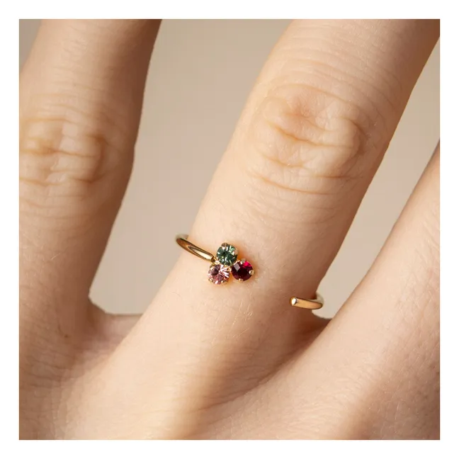 Anillo François | Multicolor