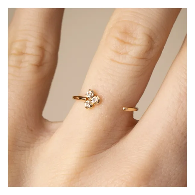 Anillo François | Champagne