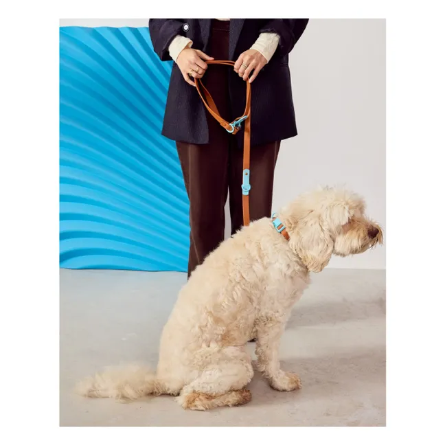 Dog collar | Chocolate