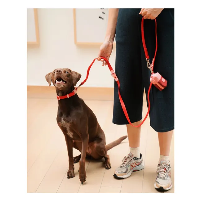 Halsband für Hunde | Kirschrot