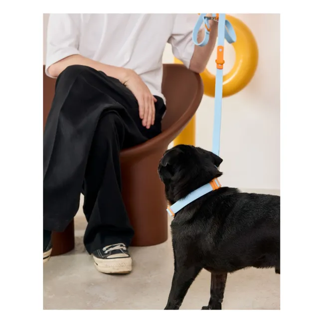 Laisse réglable pour chien | Bleu ciel