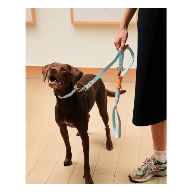 Halsband für Hunde | Hellblau