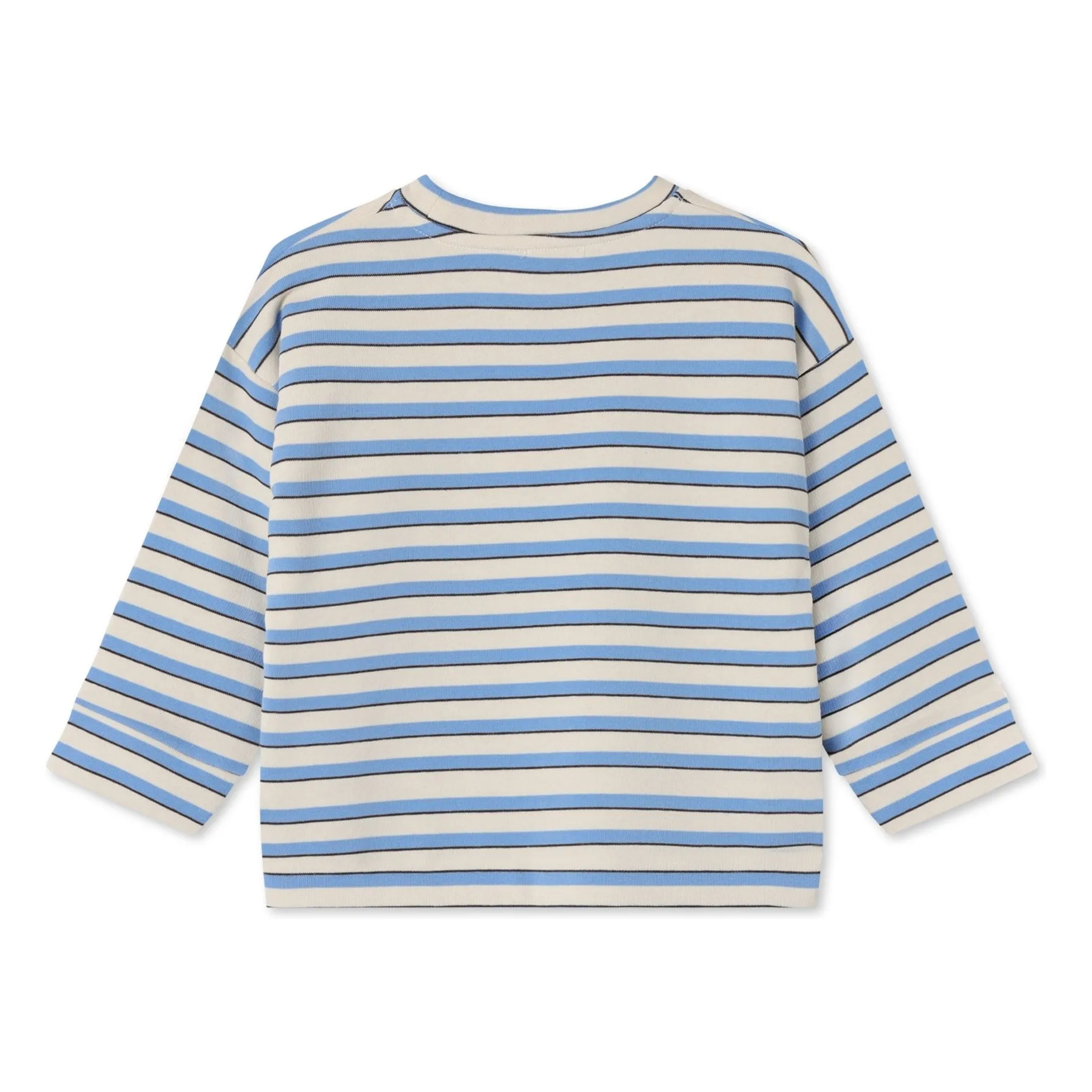 Sweat Alvin Rayé Coton Bio | Bleu ciel- Image produit n°3