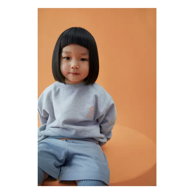 Sweat Birthday Bio-Baumwolle | Grau Meliert