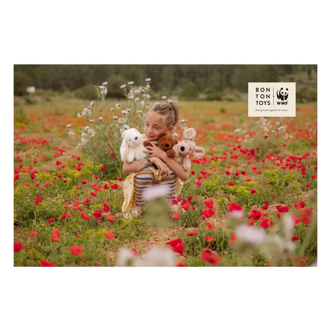 WWF - Peluche Bernard l'ours