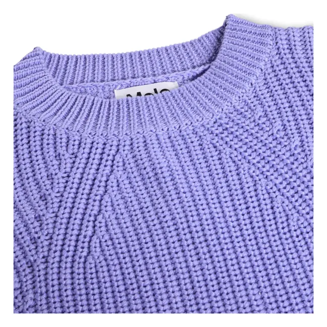 Pull Gillis Coton Bio | Violet