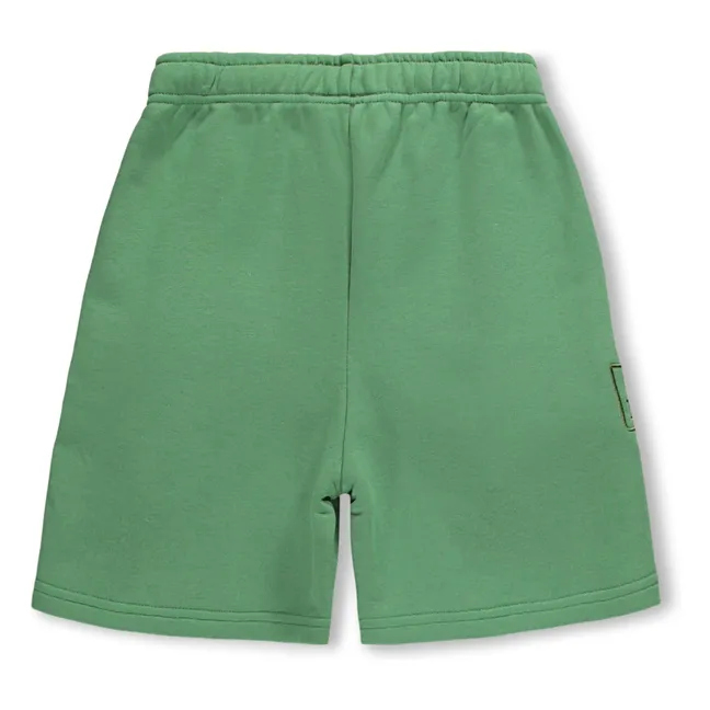 Amil embroidered shorts | Green