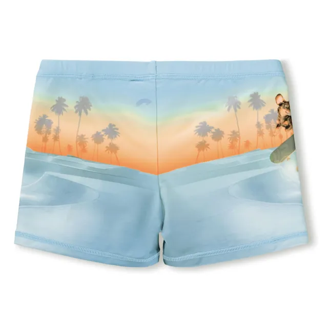 Norton Placed Skate Swim Shorts Recycled Fibers | Pale blue