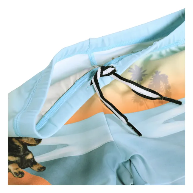 Norton Placed Skate Swim Shorts Recycled Fibers | Pale blue