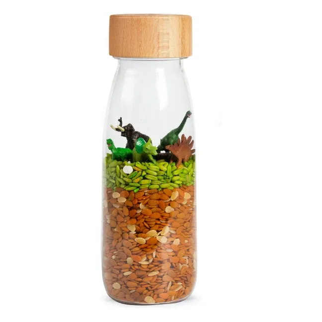 Bouteille sensorielle Jurassic | Marron