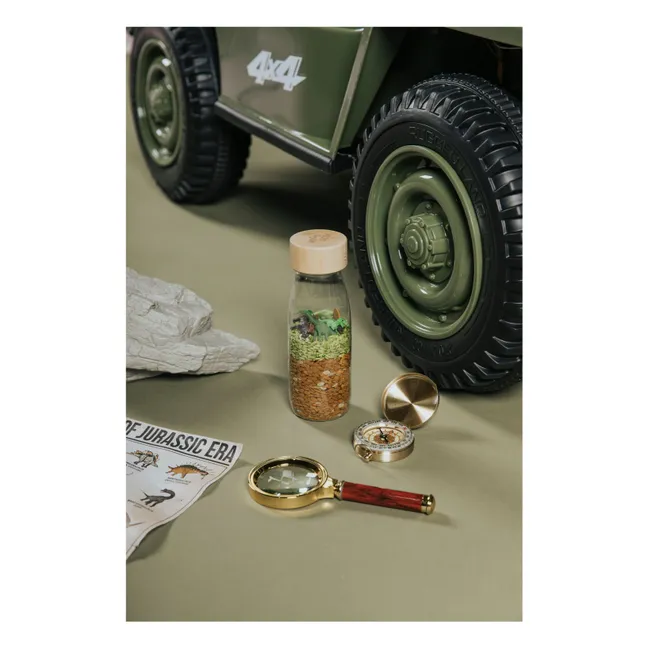 Bouteille sensorielle Jurassic | Marron