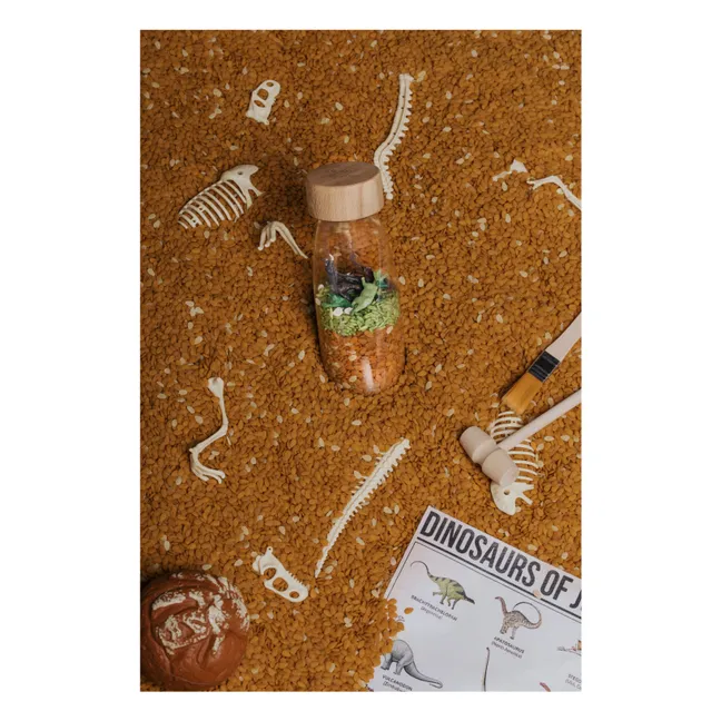 Bottiglia sensoriale giurassica | Marrone