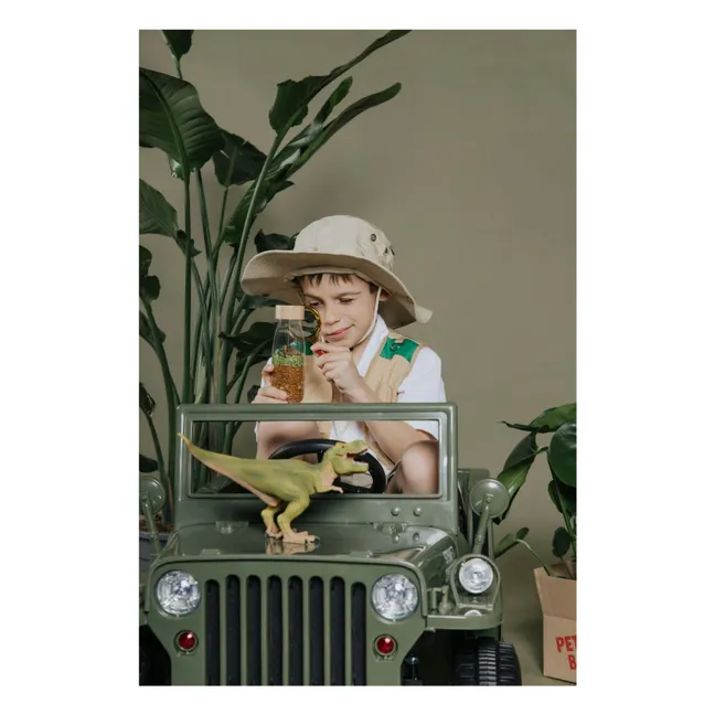 Jurassic Sensory Bottle | Braun