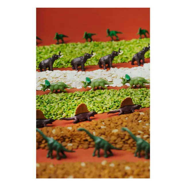 Bouteille sensorielle Jurassic | Marron