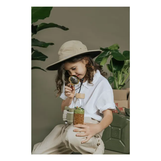 Jurassic Sensory Bottle | Braun