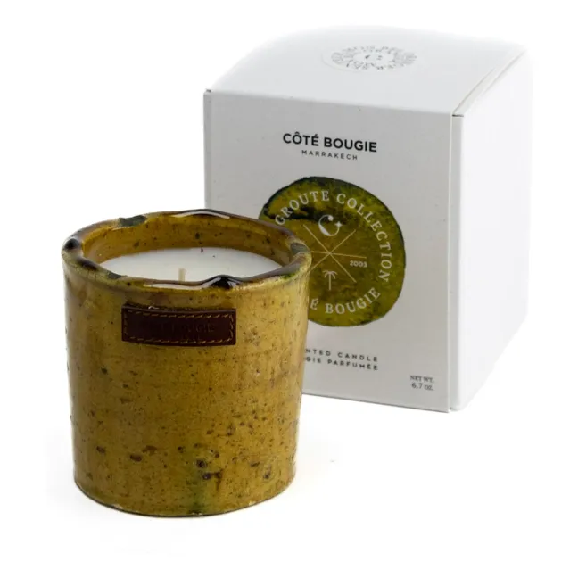 Bourgie Tamgroute Jaune - My Beautiful Orange Tree