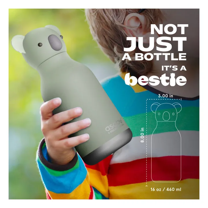 Gourde en inox Koala | Gris- Image produit n°2