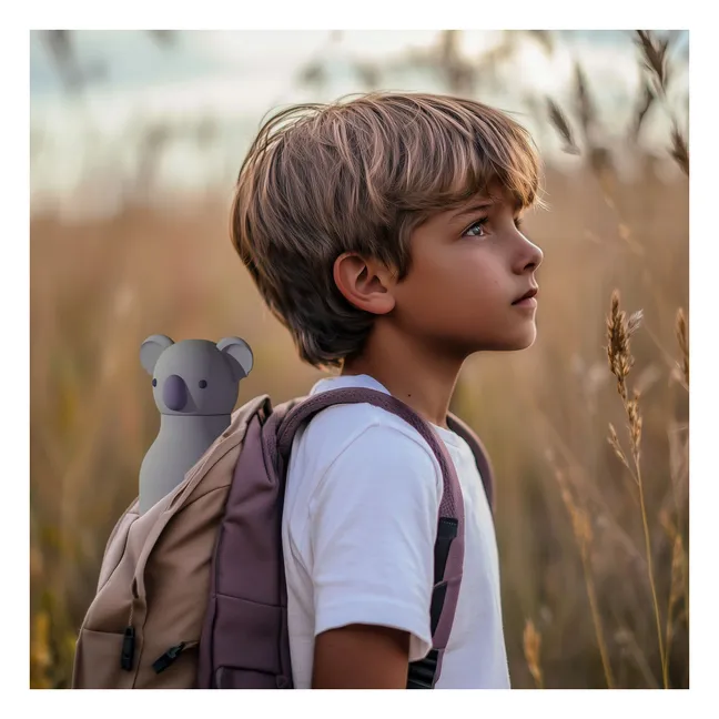 Gourde en inox Koala | Gris