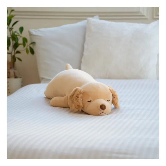 Sora the Golden Retriever plush toy