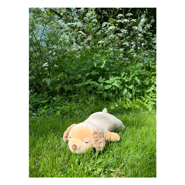 Sora the Golden Retriever plush toy