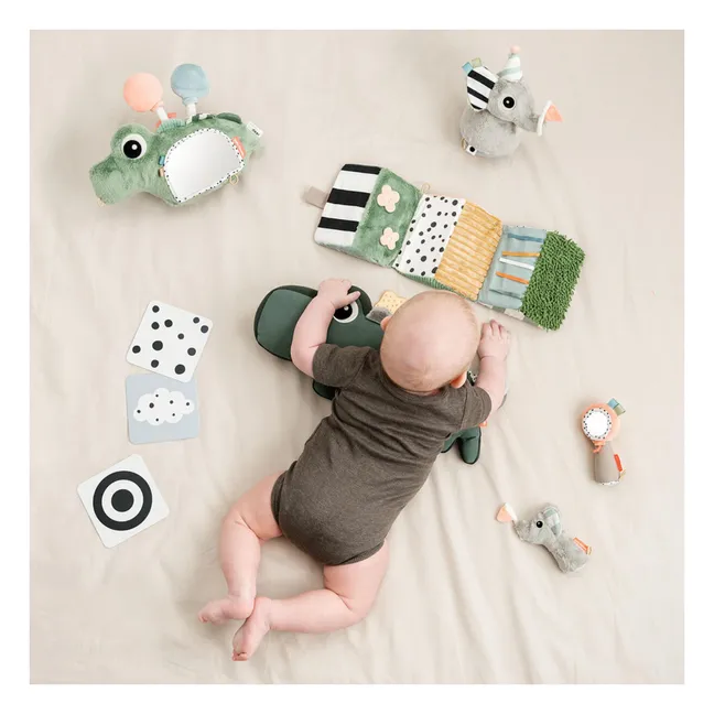 Espejo de cocodrilo | Verde