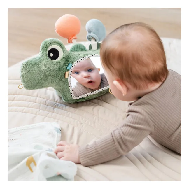 Espejo de cocodrilo | Verde