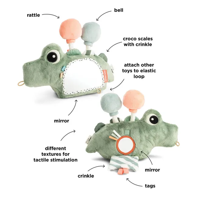 Espejo de cocodrilo | Verde