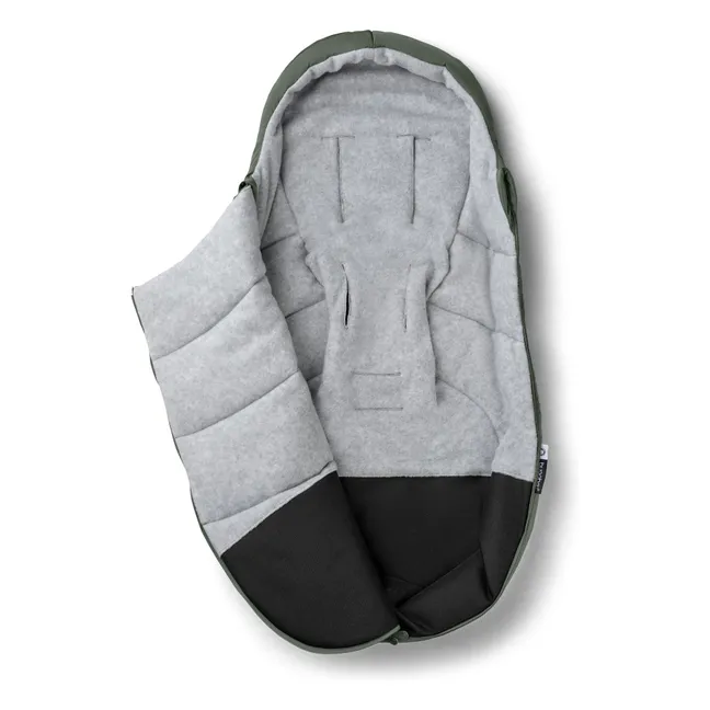 Chancellor | Forest Green