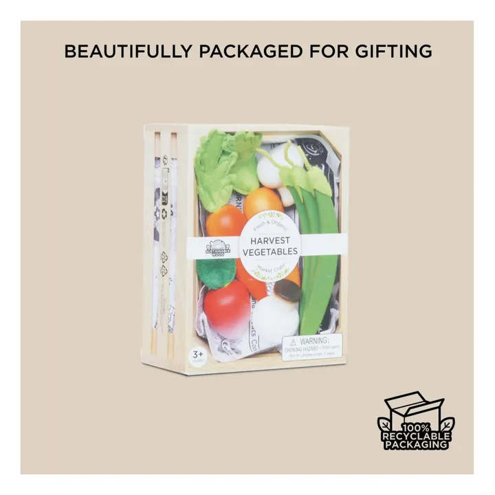 Harvest vegetables- Product image n°6