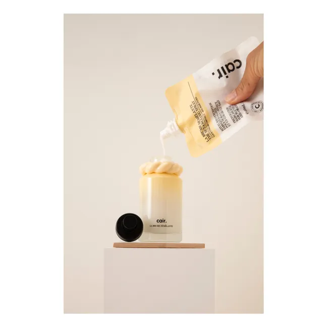 Cair di La Bonne Brosse - Ricarica di nebbia districante - 100ml