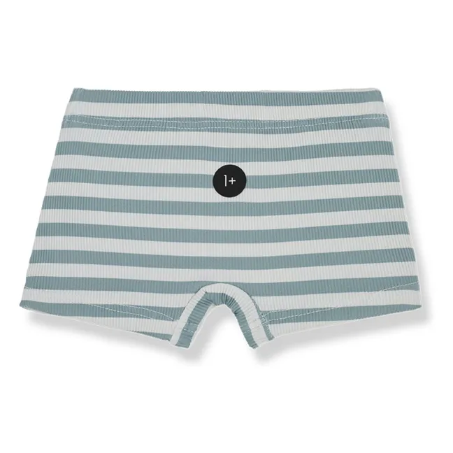 Alessandro Striped Swim Shorts | Blue Green