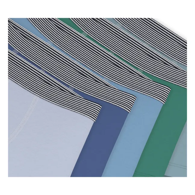 Lote de 5 calzoncillos bóxer lisos | Azul