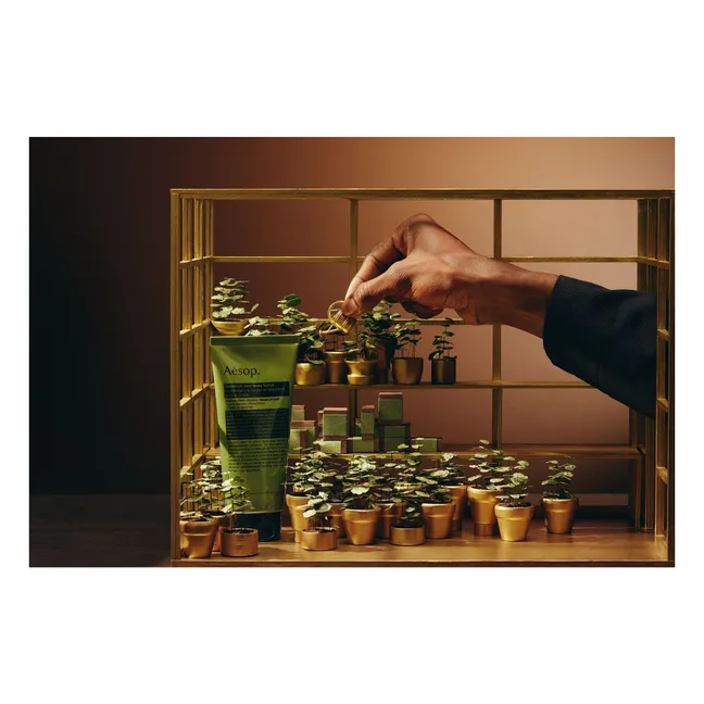 Party in the greenhouse set