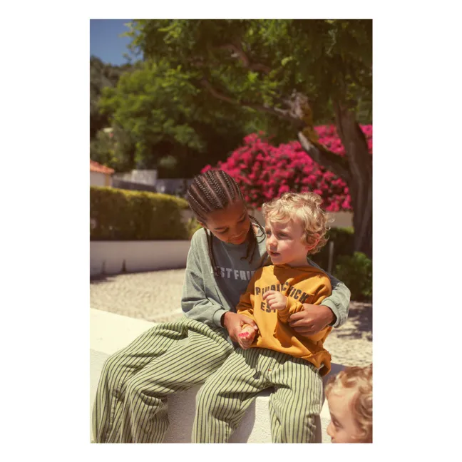 Sweat Piupiuchick Est 2012 Coton Bio | Camel